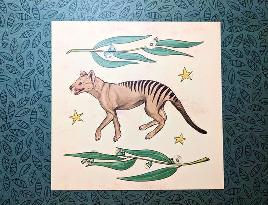 Thylacine Tasmanian Tiger Art Print 5x5in