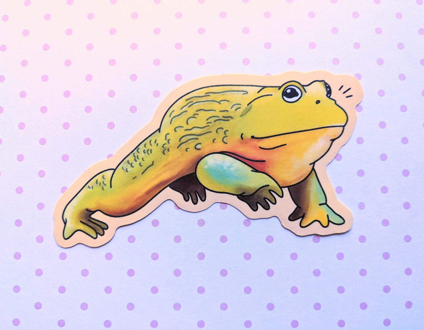 African Bullfrog Sticker OR Magnet | Die Cut | Waterproof Vinyl